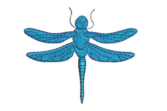 Dazzling Dragonfly