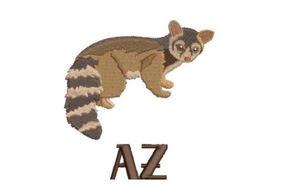 Ringtailed Cat AZ